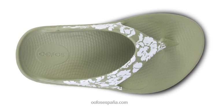 trópicos de salvia 0R40F11 sandalia limitada ooriginal para mujer OOFOS